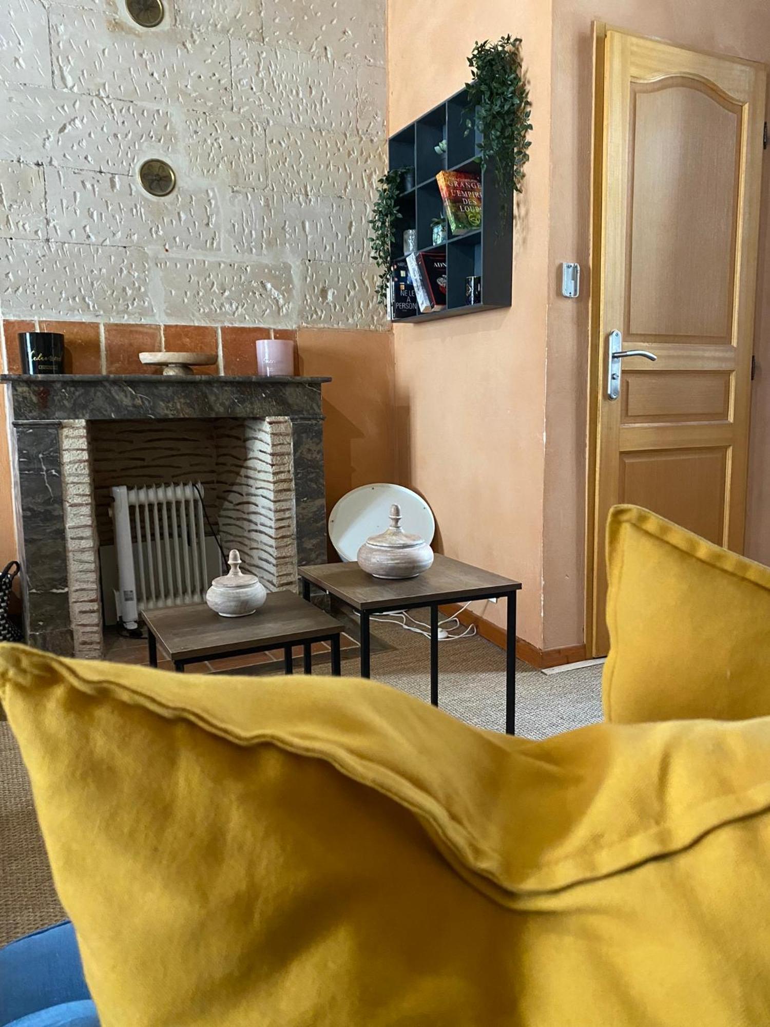 Grand Appartement Historique Rue Colbert Tours Luaran gambar