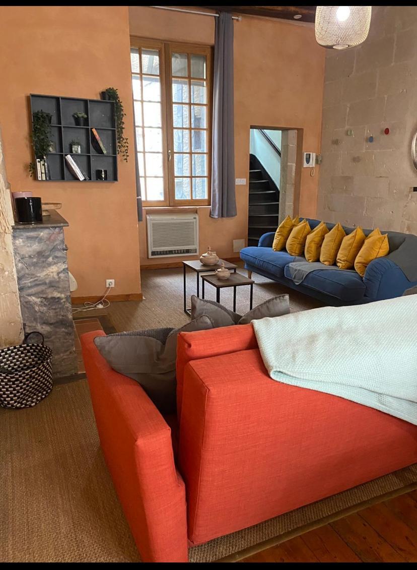 Grand Appartement Historique Rue Colbert Tours Luaran gambar