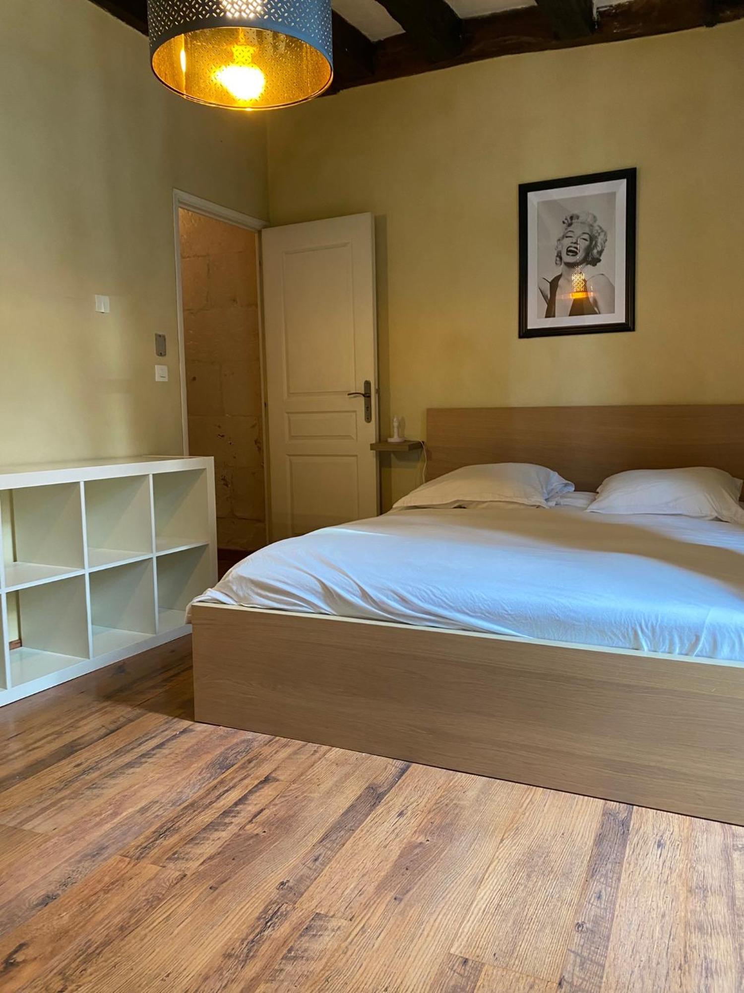 Grand Appartement Historique Rue Colbert Tours Luaran gambar