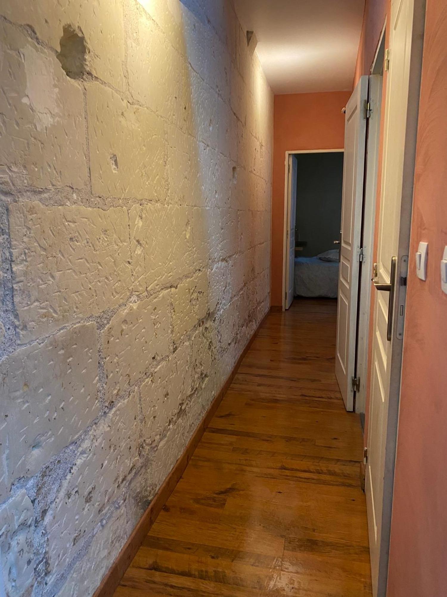 Grand Appartement Historique Rue Colbert Tours Luaran gambar