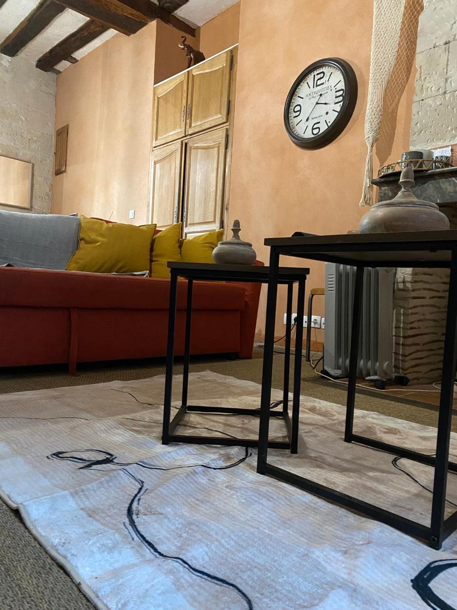 Grand Appartement Historique Rue Colbert Tours Luaran gambar